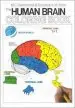 Audiobook The Human Brain Coloring Book author Diamond Books