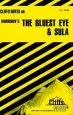 Audiobook Notes on Morrison'S 'The Bluest Eye' and 'Sula' author Louisa S. Nye