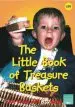 Audiobook The Little Book of Treasure Baskets: Little Books With big Ideas author Professor Ann Roberts