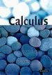 Audiobook Calculus: Concepts and Methods author Ken Binmore