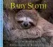 Audiobook Baby Sloth author Aubrey Lang