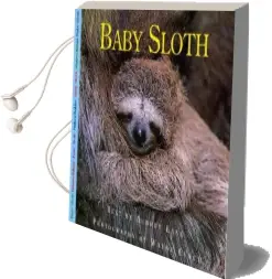 Baby Sloth Audiobook download free by Aubrey Lang