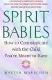 Audiobook Spirit Babies author Walter Makichen