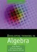 Audiobook Developing Thinking in Algebra author John Mason