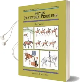 Solving Flatwork Problems Audiobook download free by Jane Wallace