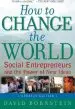 Audiobook How to Change the World: Social Entrepreneurs and the Power of new Ideas author David Bornstein