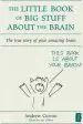 Audiobook The Little Book of big Stuff About the Brain: The True Story of Your Amazing Brain author Andrew Curran