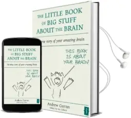 The Little Book of big Stuff About the Brain: The True Story of Your Amazing Brain Audiobook download free by Andrew Curran