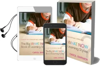 The big What now Book of Learning Styles: A Fresh and Demystifying Approach Audiobook download free by Carol Barnier