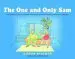 Audiobook The one and Only sam: A Story Explaining Idioms for Children With Asperger Syndrome and Other Communication Difficulties author Aileen Stalker