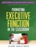 Audiobook Promoting Executive Function in the Classroom author Lynn Meltzer