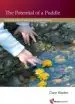 Audiobook Potential of a Puddle: Creating Vision and Values for Outdoor Learning author Claire Warden