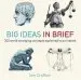 Audiobook Big Ideas in Brief: 200 World-Changing Concepts Explained in an Instant author Ian Crofton