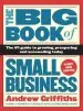 Audiobook The big Book of Small Business: The Number 1 Guide to Growing, Prospering and Succeeding Today author Andrew Griffiths