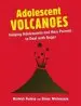 Audiobook Adolescent Volcanoes: Helping Adolescents and Their Parents to Deal With Anger author Warwick Pudney