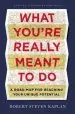 Audiobook What You'Re Really Meant to do: A Road map for Reaching Your Unique Potential author Robert Steven Kaplan