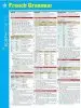 Audiobook French Grammar Sparkcharts author Sparknotes