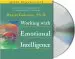Audiobook Working With Emotional Intelligence author Daniel Goleman