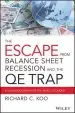 Audiobook The Escape From Balance Sheet Recession and the qe Trap: A Hazardous Road for the World Economy author Richard C. Koo