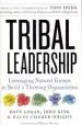 Audiobook Tribal Leadership: Leveraging Natural Groups to Build a Thriving Organization author David Logan