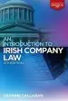 Audiobook An Introduction to Irish Company law author Grainne Callanan