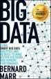 Audiobook Big Data: Using Smart big Data, Analytics and Metrics to Make Better Decisions and Improve Performance author Bernard Marr