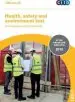 Audiobook Health, Safety and Environment Test for Managers and Professionals: Gt 200/15 author Citb