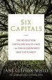 Audiobook Six Capitals: The Revolution Capitalism has to Have - or can Accountants Save the Planet? author Jane Gleeson White