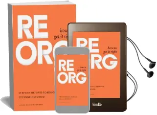 Reorg: How to get it Right Audiobook download free by Stephen Heidari Robinson