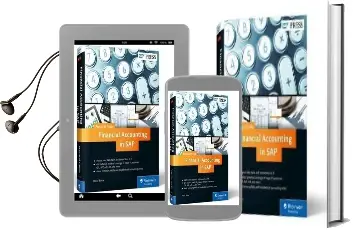 Financial Accounting in sap: Practical Guide Audiobook download free by David Burns