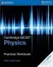 Audiobook Cambridge International Igcse: Cambridge Igcse (r) Physics Practical Workbook author Gillian Nightingale