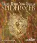 Audiobook Next Time you see a Spiderweb author Emily Morgan