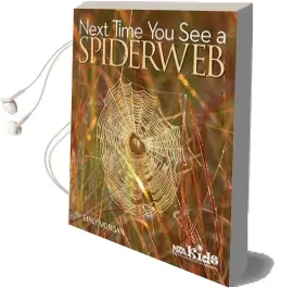 Next Time you see a Spiderweb Audiobook download free by Emily Morgan