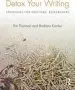 Audiobook Detox Your Writing: Strategies for Doctoral Researchers author Pat Thomson