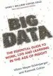 Audiobook Big Data: The Essential Guide to Work, Life and Learning in the age of Insight author Viktor Mayer Schonberger