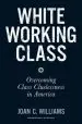 Audiobook White Working Class: Overcoming Class Cluelessness in America author Joan C. Williams