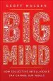 Audiobook Big Mind: How Collective Intelligence can Change our World author Geoff Mulgan