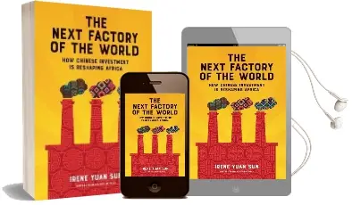 The Next Factory of the World: How Chinese Investment is Reshaping Africa Audiobook download free by Irene Yuan Sun