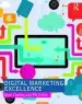 Audiobook Digital Marketing Excellence: Planning, Optimizing and Integrating Online Marketing author Dave Chaffey