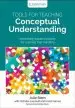 Audiobook Tools for Teaching Conceptual Understanding, Elementary: Harnessing Natural Curiosity for Learning That Transfers author Julie Stern