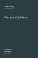 Audiobook Carceral Capitalism: Volume 21 author Jackie Wang