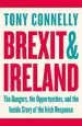 Audiobook Brexit and Ireland: The Dangers, the Opportunities, and the Inside Story of the Irish Response author Tony Connelly